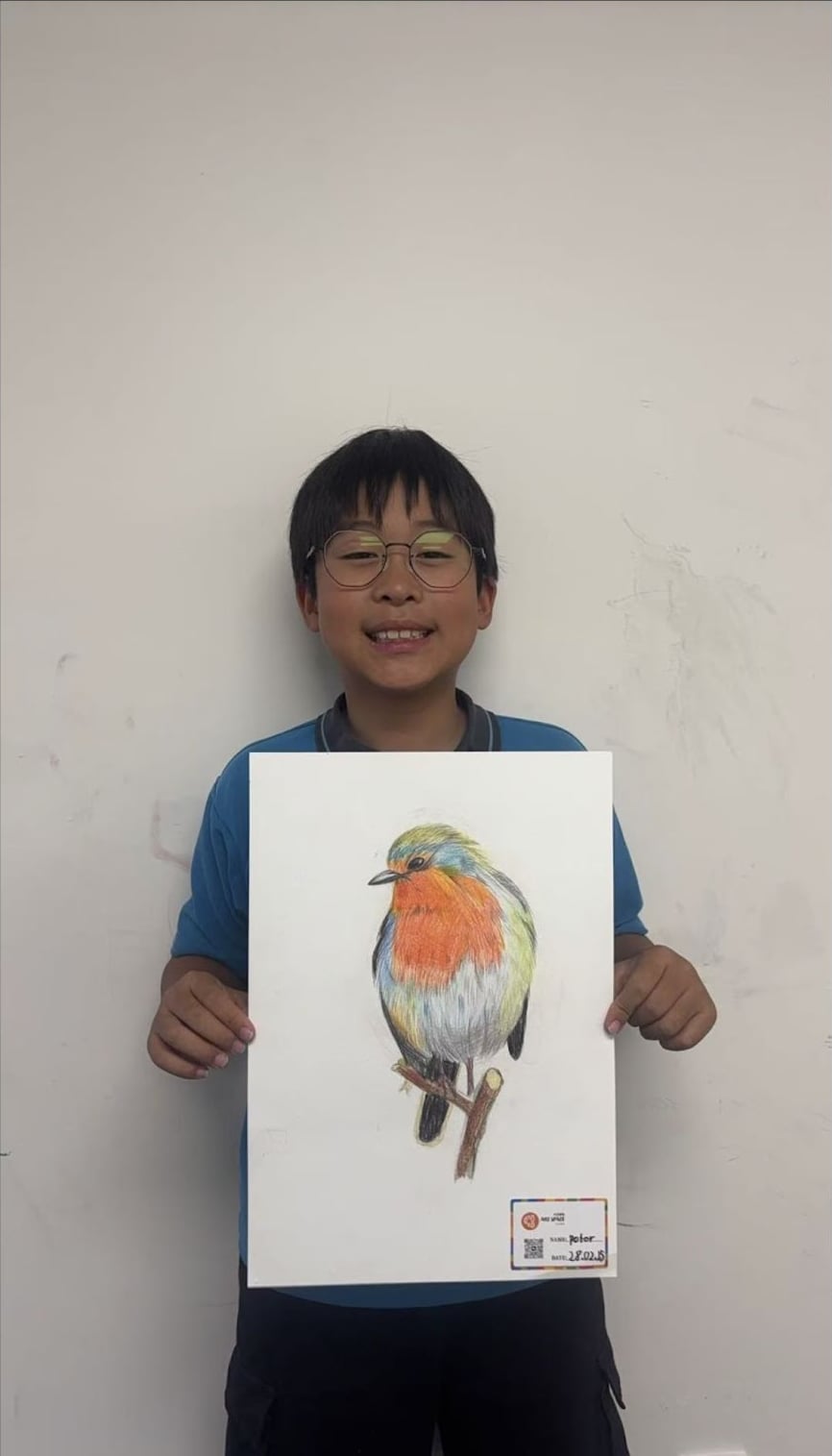 European Robin Illustration by an Intermediate Class student at Art Space Studio Auckland